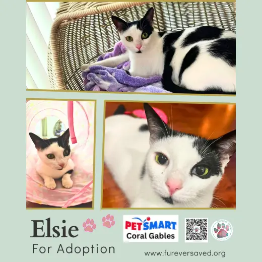 Elsie
