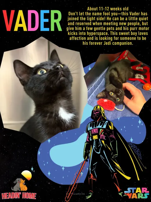 Vader