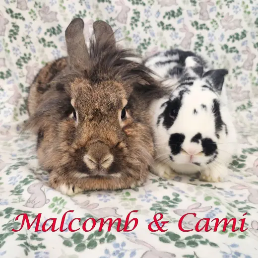 Malcomb (bonded to Cami)