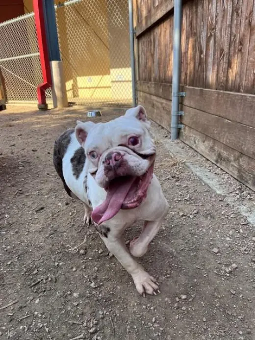 BETTY