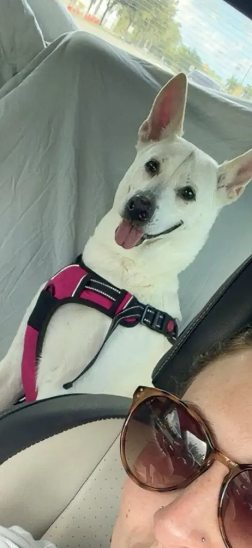 Lucy