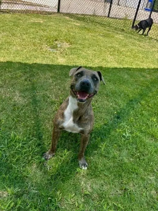 LUCY
