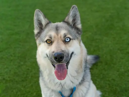 KLONDIKE
