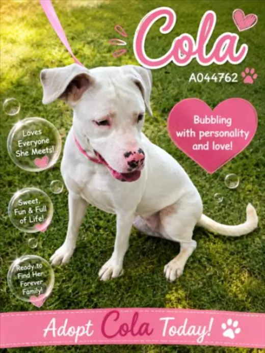 COLA