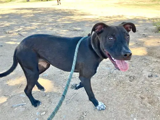 CHACO