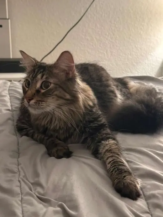 Oliver (Billie)