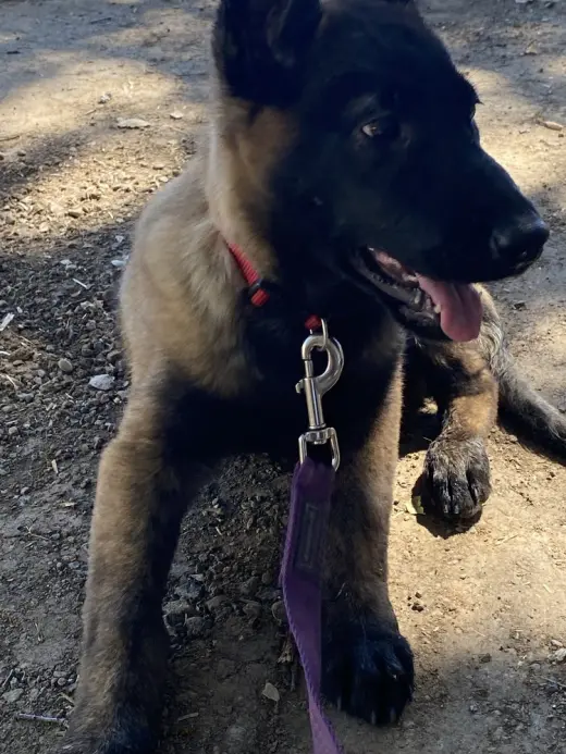 Zora- located in AZ