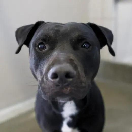 BEN
