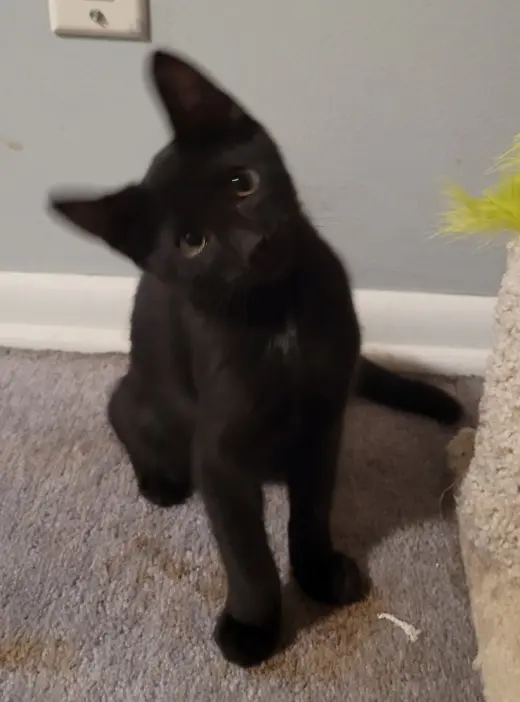 Samwise