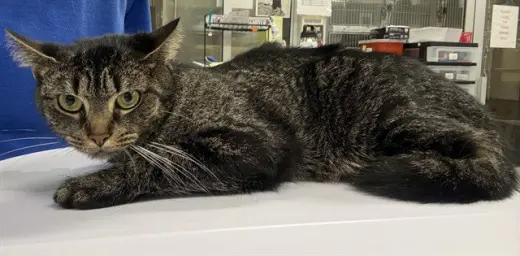 TINKER