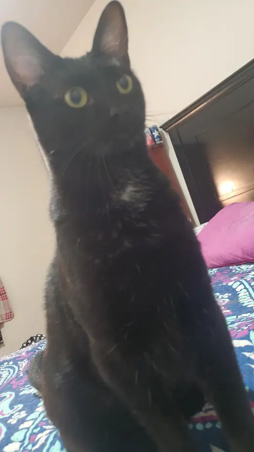 George