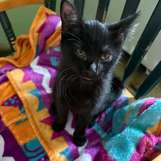 Luna