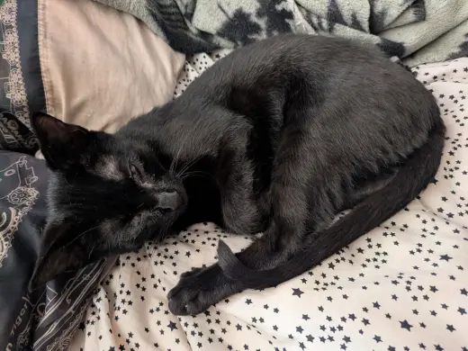 KitKat