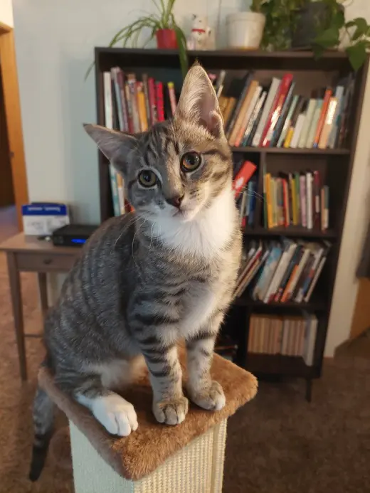 Fletcher