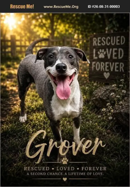 Grover