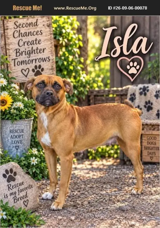 Isla