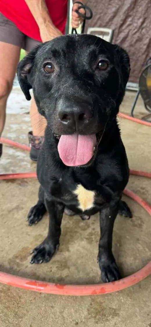 Axel