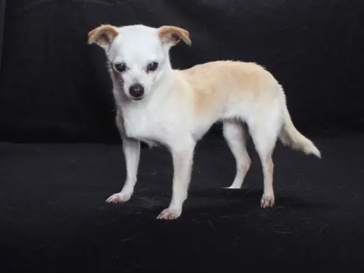 *BERNADETTE