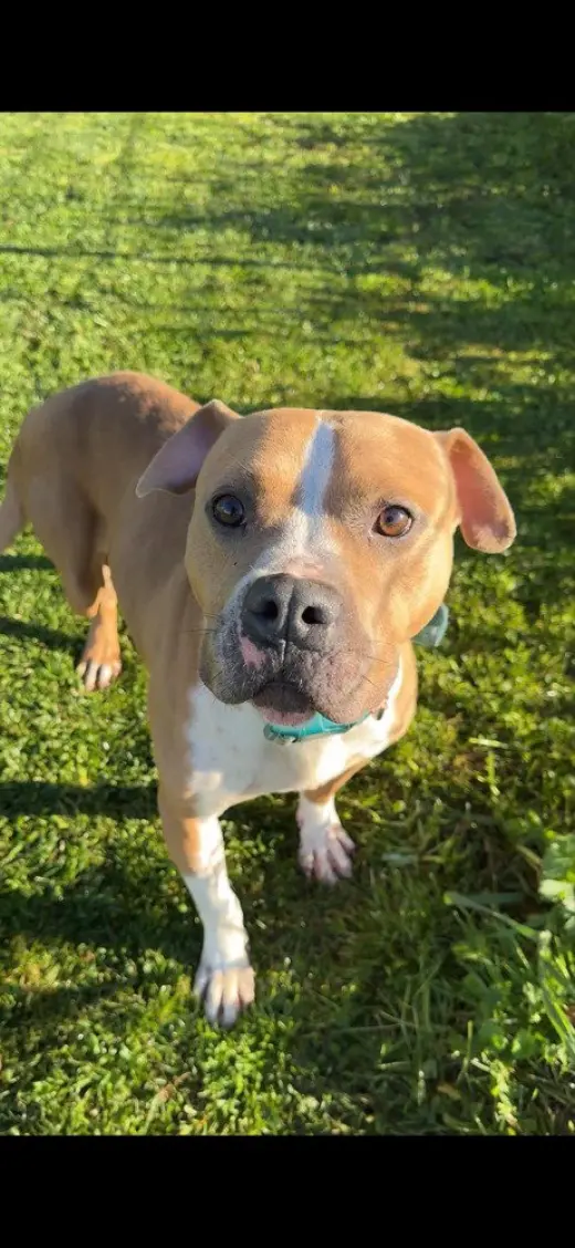 Milton- goofy boy