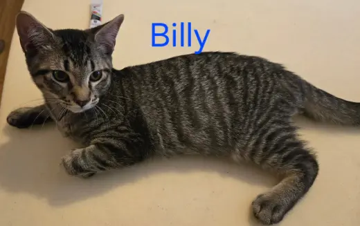 Billy
