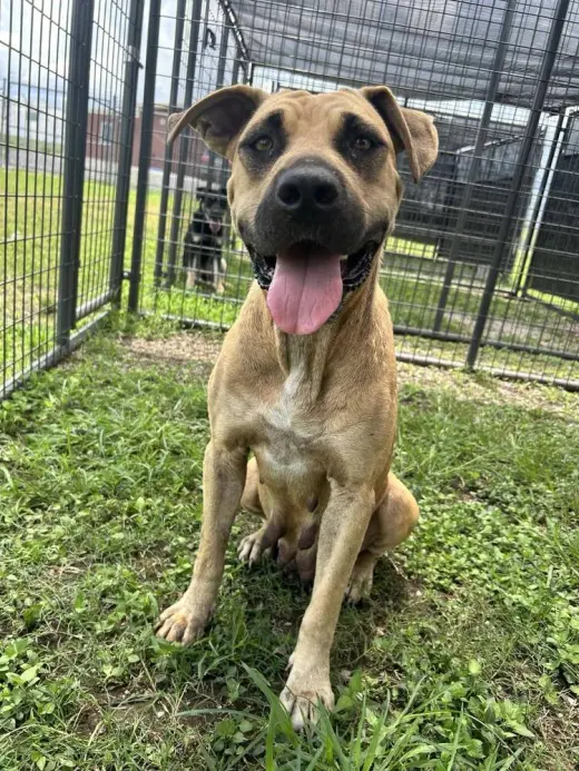 Izzy