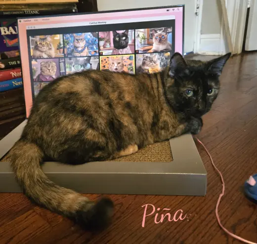 Pina #bonded-to-Buddy