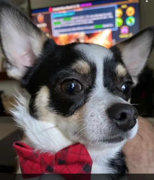 Marvin