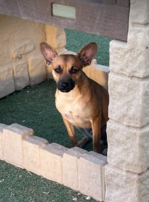 Paco in TX