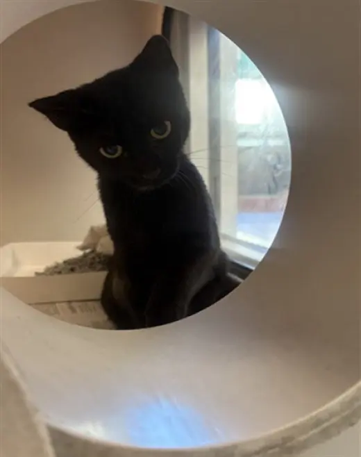 LUNA