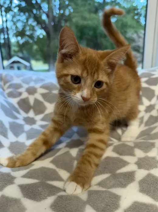 Bert * IN FOSTER *
