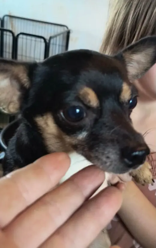 Tiny