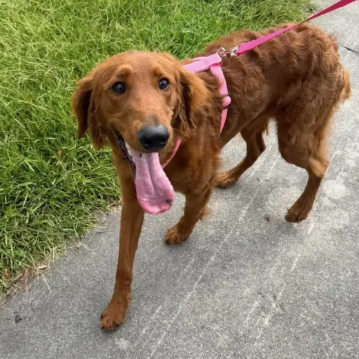 Winnie Mae