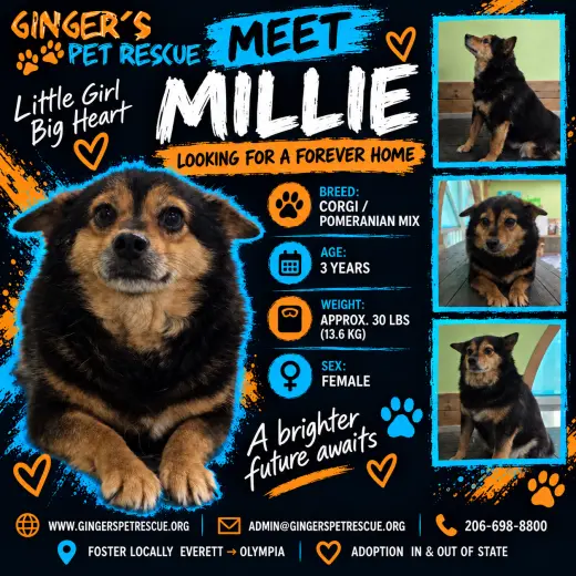 Millie from Korea