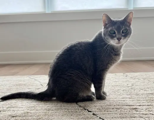 Ellie