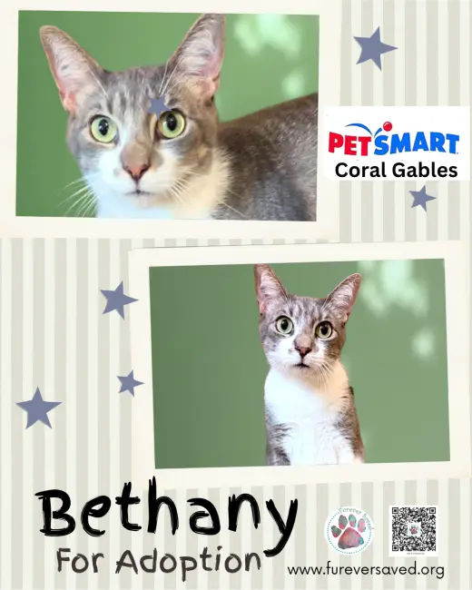 Bethany
