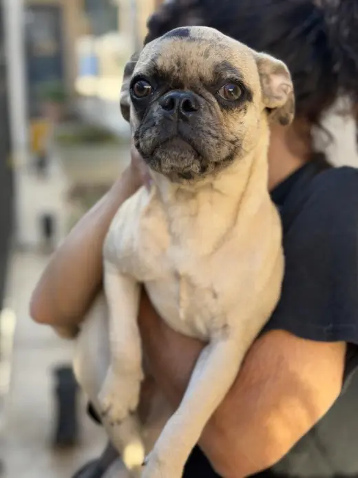 CAROLINE