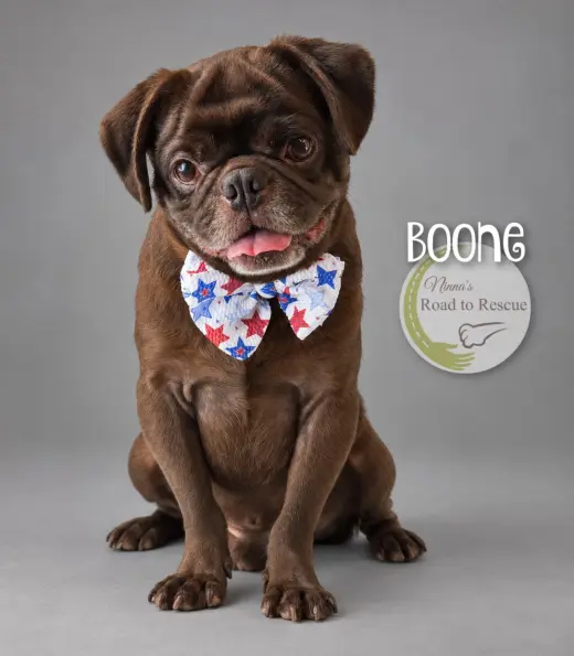 Boone
