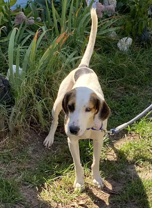 Jay - At shelter available 9/20