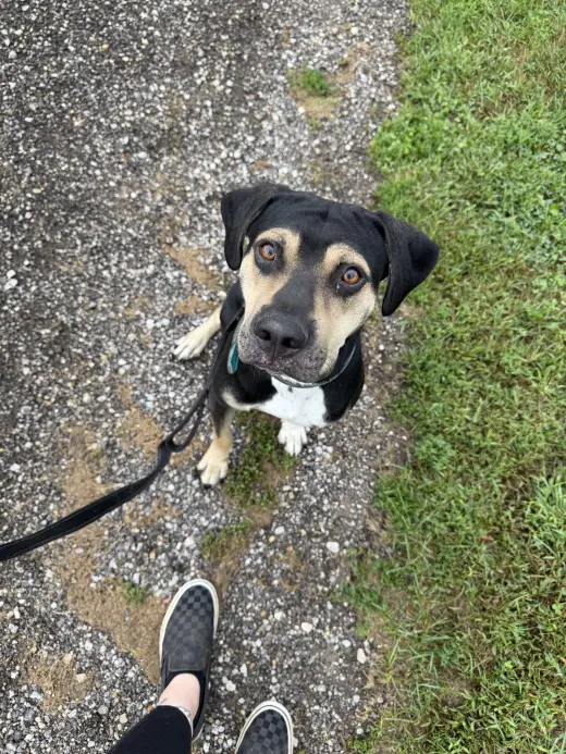 Luther (Available 09/25/2026)