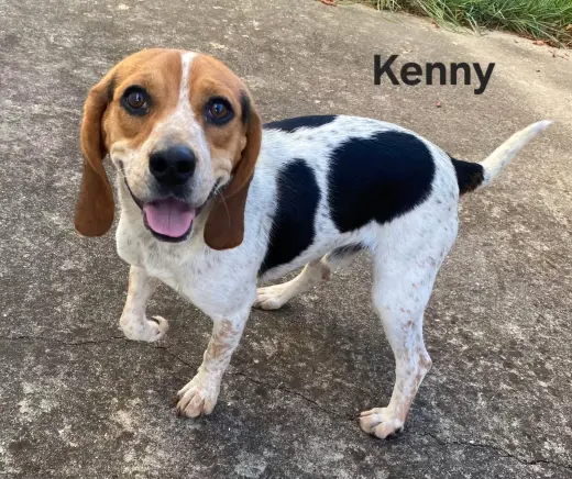 KENNY B