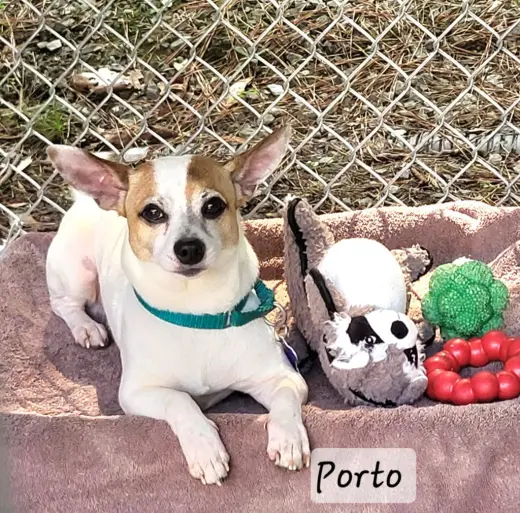Porto