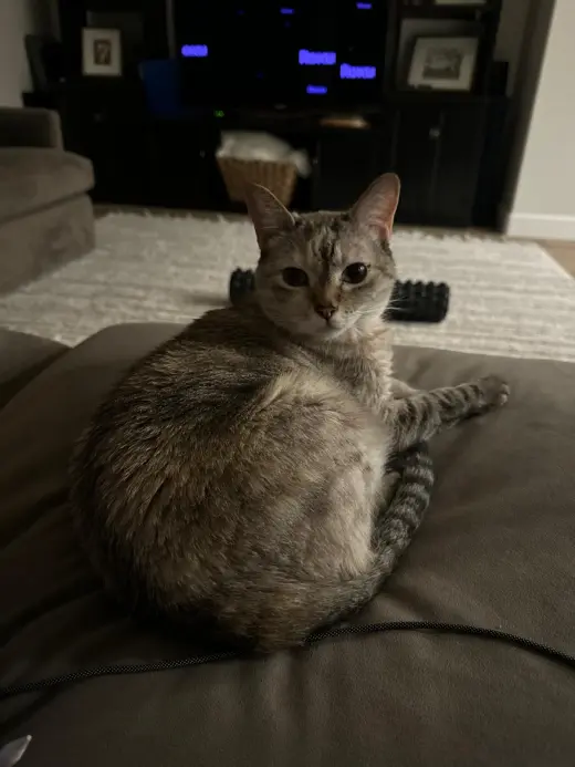 Pixel