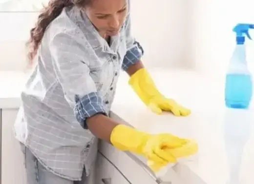 $20XHR / TRABAJO DE LIMPIEZA