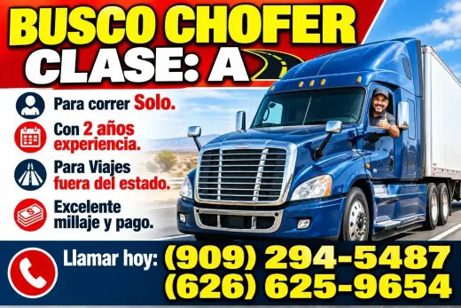 BUSCO CHOFER CLASE: A