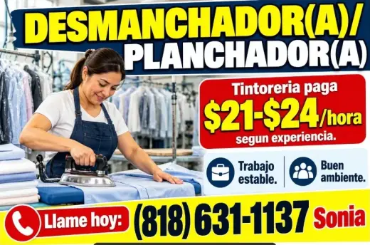 TINTORERÍA SOLICITA DESMANCHADOR(A)/ PLANCHADOR(A)