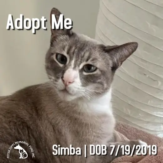 Simba