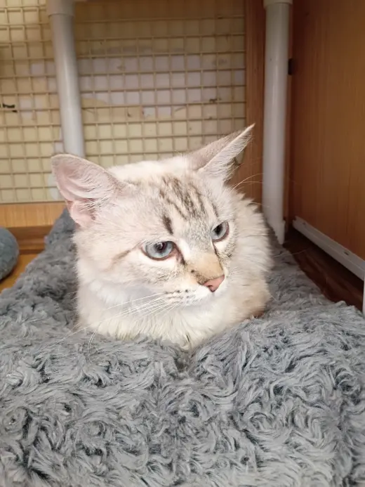 Linx