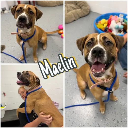 Maelin (aka Mae Mae)