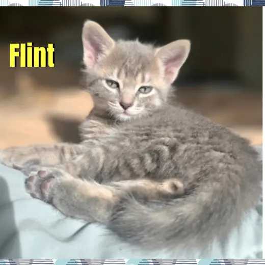 Flint