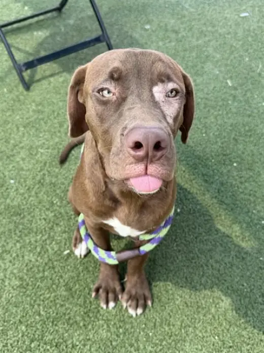 ZUKO